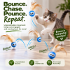 Kitten chasing blue Bouncy Tail Balls with feather tails, showing the toy's unpredictable bounce designed to encourage active play.
