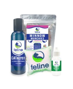 The kit for kitties! Keep your cat healthy, happy and alive with this special happy healthy kit for cats!