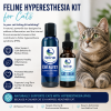 Feline Hyperesthesia Kit for Cats featuring CATalyst and Cat Calm liquid supplements beside a healthy tabby cat. Natural support for feline hyperesthesia syndrome (FHS), helping promote calm behavior, relaxation, and overall wellness.