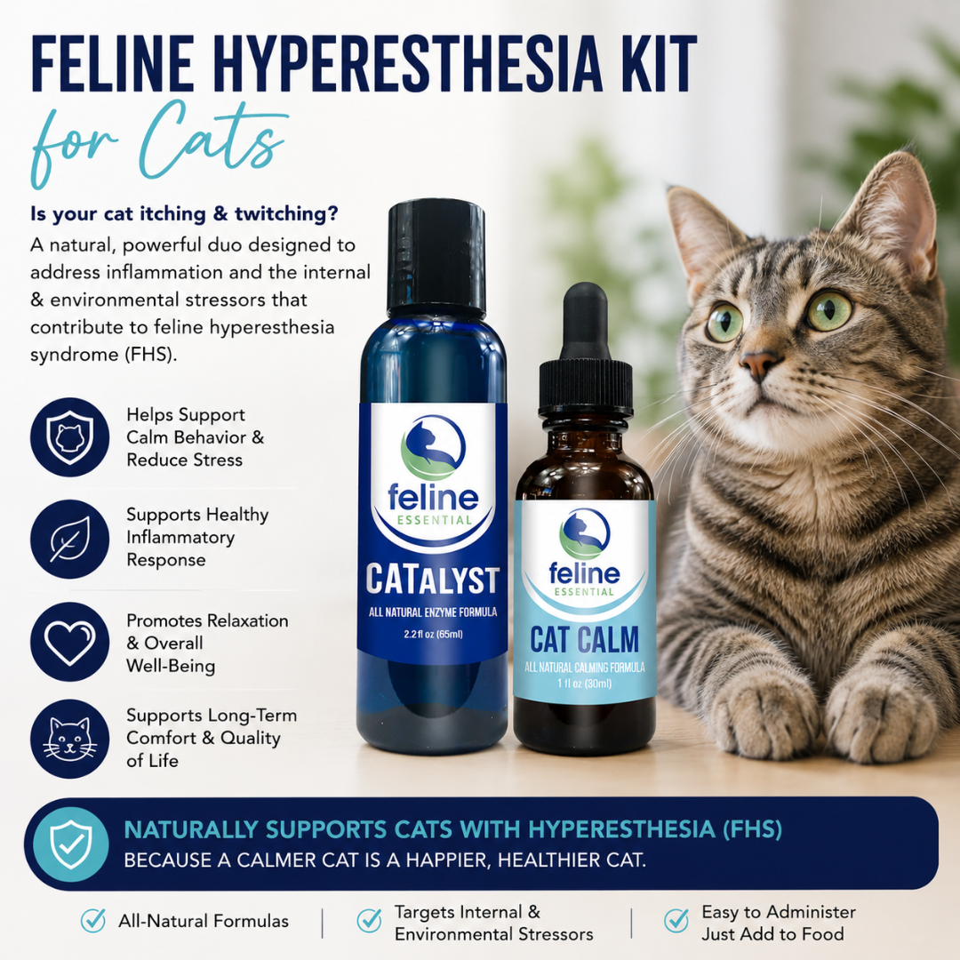 FHS Kit for Feline Hyperesthesia | Two Crazy Cat Ladies