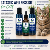 CATastic Wellness Kit for Cats featuring CATalyst and Oxy-Cat liquid supplements beside a healthy tabby cat. Daily wellness formula designed to support immune health, digestion, respiratory function, skin and coat health, recovery, and overall feline vitality.