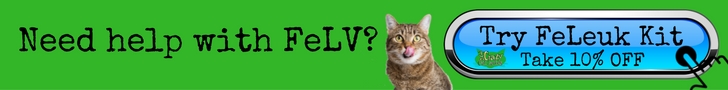 Feline Leukemia (FeLV) can be helped with the all natural FeLeuk Kit
