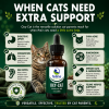Common uses for Oxy-Cat including digestive support, congestion, ear mites, chin acne, ringworm, minor wounds, and feline herpes support.