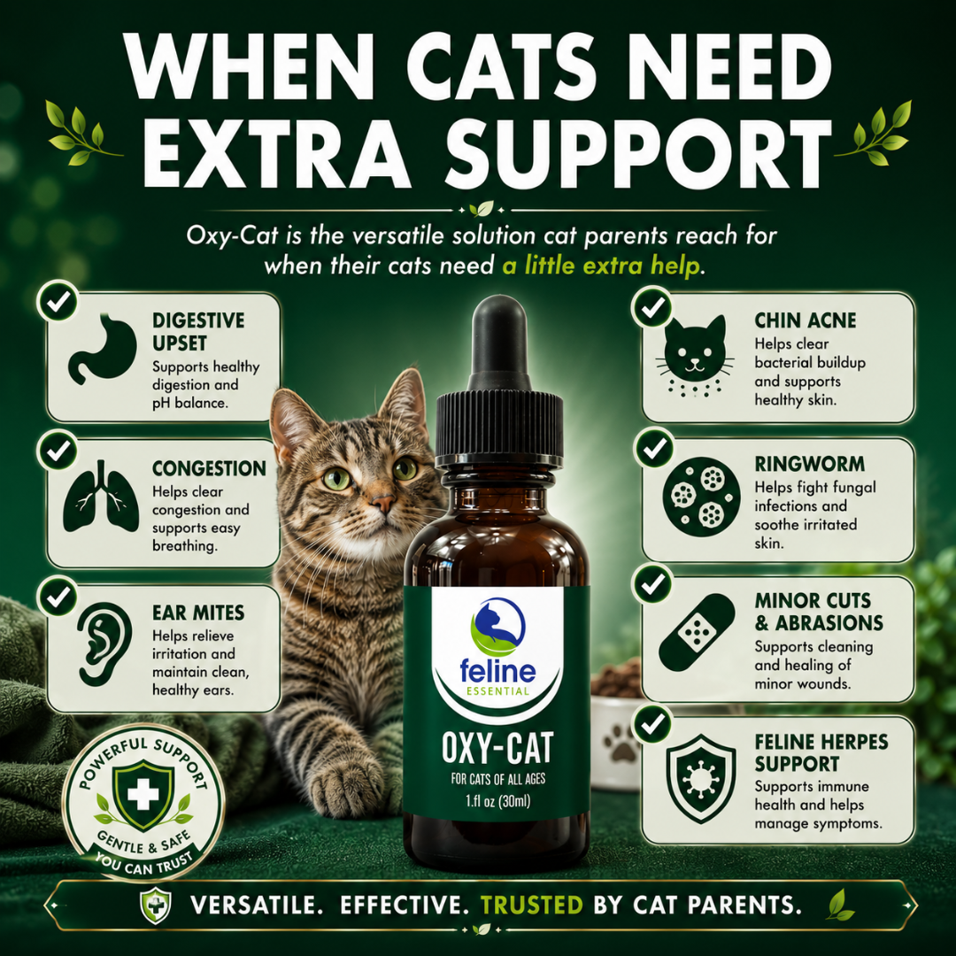 Common uses for Oxy-Cat including digestive support, congestion, ear mites, chin acne, ringworm, minor wounds, and feline herpes support.