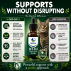 Oxy-Cat supports a healthy gut environment, beneficial flora, natural balance, and reduction of unwanted pathogens without disrupting gut health.
