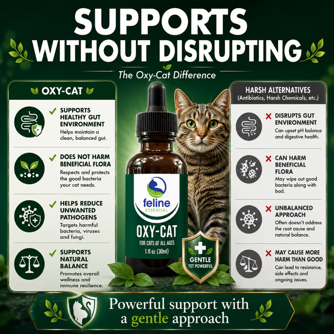 Oxy-Cat supports a healthy gut environment, beneficial flora, natural balance, and reduction of unwanted pathogens without disrupting gut health.