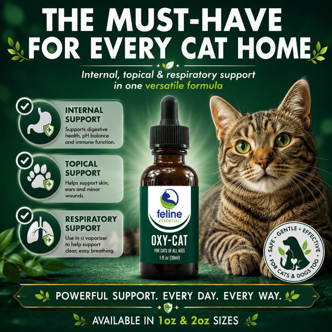 Oxy-Cat liquid formula for cats providing internal, topical, and respiratory support with versatile daily wellness benefits for cats and dogs.
