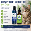 Urinary Tract Support Kit for Cats featuring CATalyst and UrinaryCat Plus liquid supplements beside a healthy tabby cat. Natural urinary tract support formula designed to promote bladder health, urinary wellness, immune function, and normal urine pH in cats.