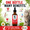Vita-Cat vitamin C formula for cats supporting immunity, bone health, joint support, urinary tract health, overall wellness, and daily vitality.