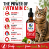 Vitamin C supplement for cats supporting immune health, connective tissue, joint mobility, urinary tract wellness, and healthy aging.