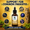 WormeX natural parasite support for cats targeting roundworms, tapeworms, hookworms, whipworms, giardia, and coccidia.