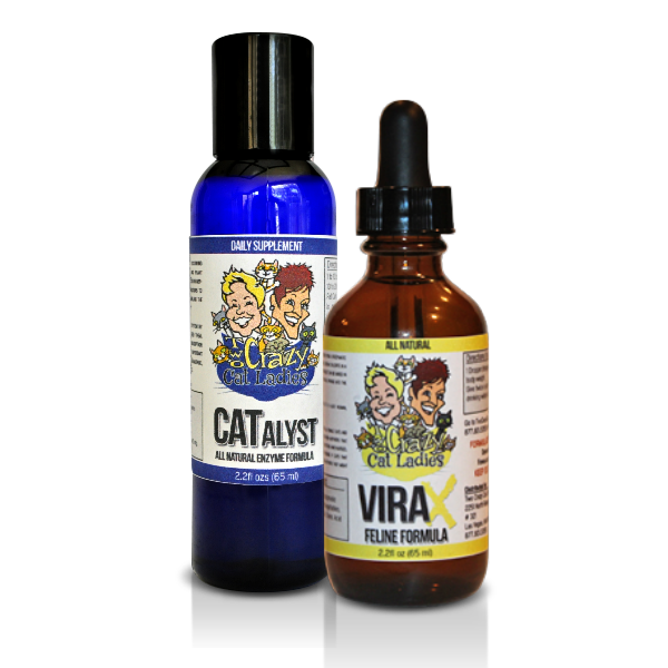 Beautiful view of Feline Leukemia Cat Virus Disease Side Effect Management