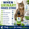 UrinaryCAT Plus urinary health supplement for cats shown for common urinary concerns including UTIs, bladder inflammation, urine crystals, struvite crystals, urinary discomfort, and frequent urination.