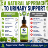 Comparison of UrinaryCAT Plus natural urinary supplement versus conventional urinary approaches, highlighting vitamin C support, healthy urine pH balance, bladder health, and immune support.