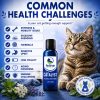 Common feline health challenges including stiffness, excessive shedding, hairballs, digestive upset, low vitality, aging concerns, and immune support needs.