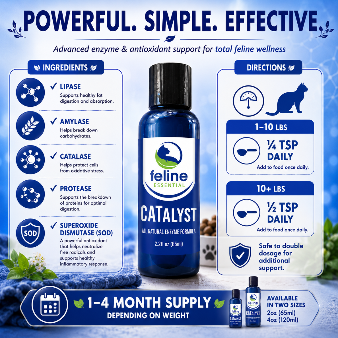 CATalyst ingredients and dosage instructions featuring lipase, amylase, catalase, protease, and superoxide dismutase (SOD) for daily feline wellness support.