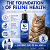 CATalyst antioxidant enzyme formula for cats providing daily digestive enzyme and antioxidant support for whole-body wellness, available in 2 oz and 4 oz sizes.