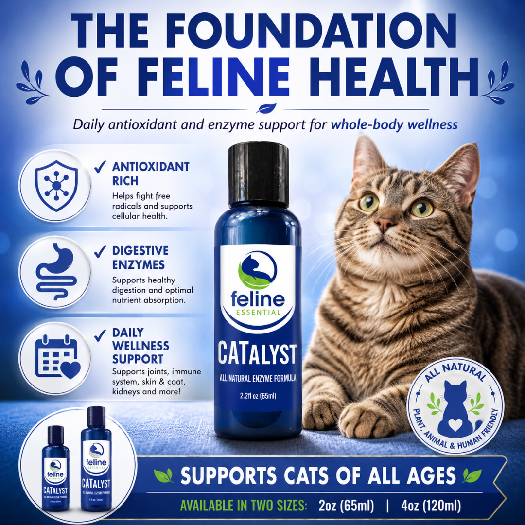 CATalyst antioxidant enzyme formula for cats providing daily digestive enzyme and antioxidant support for whole-body wellness, available in 2 oz and 4 oz sizes.