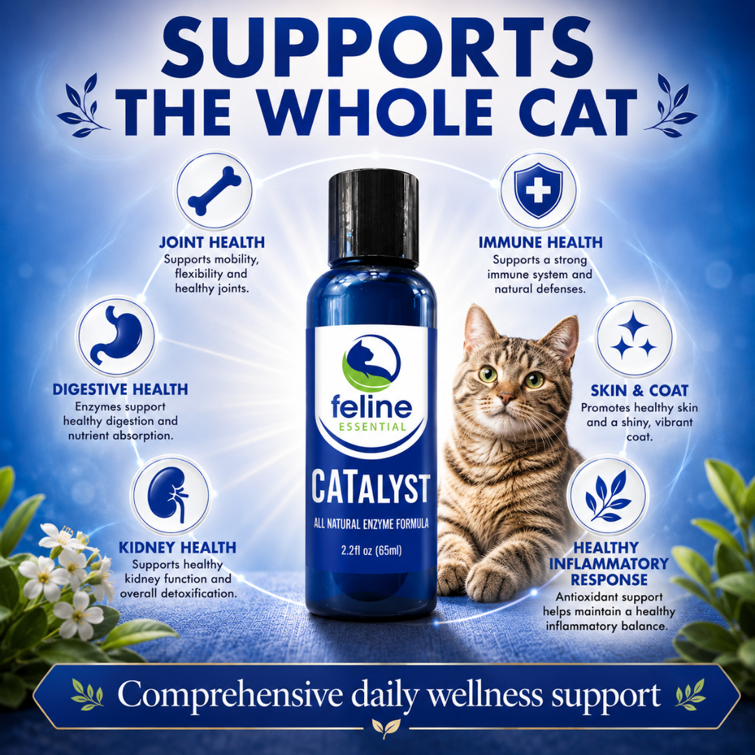 CATalyst for cats supports joint health, immune health, digestive health, kidney health, skin and coat health, and a healthy inflammatory response.