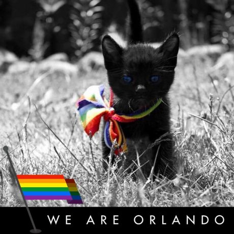 Helping Pets of Victims in Orlando Shooting