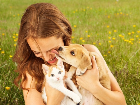 The difference between cat people and dog people study