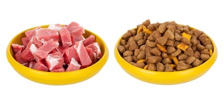 An Easy Guide: Transitioning Cats To A Raw Food Diet