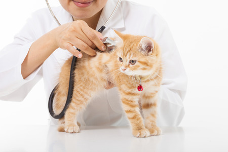 Don't be jaded by veterinarians