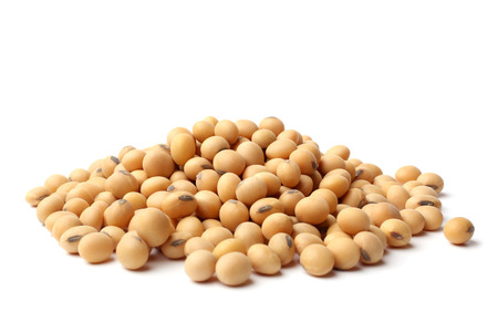 Why Soy Protein In Cat Food Is Harmful