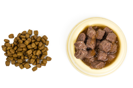 Why You Should Feed Your Cat Wet Food