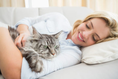 Healing Your Cat Naturally Through The Power Of Positivity