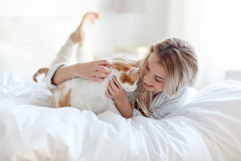 Science shows that cats reduce stress and chances of heart disease in women