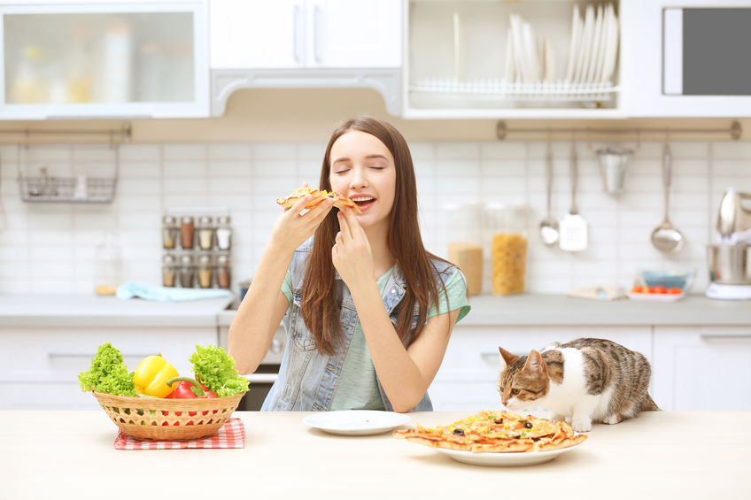 Does Your Cat Eat Better Than You?