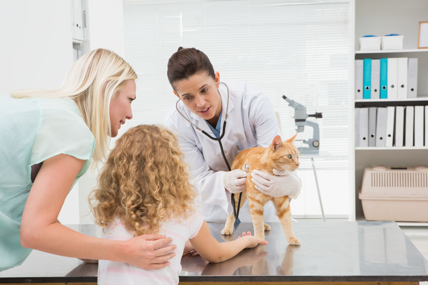 Asking Your Vet Questions is important for the overall health and well being of your pet