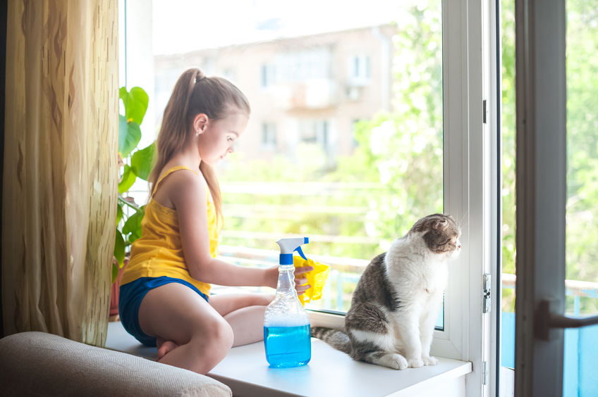 If you're looking for a safe and natural glass cleaner that's streak free and works beautifully, look no more! We're super excited to give you this recipe so that you, too, can keep your pets safe and still keep your windows, tables and mirrors clean and shiny!