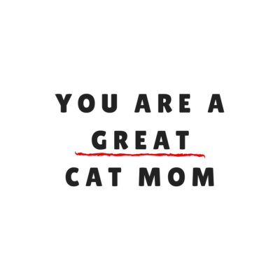 To all the cat moms that judge themselves for not being the best cat mom on the planet. Your cat loves you just for who you are.