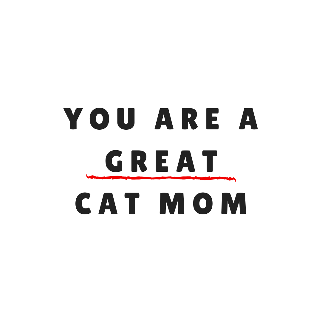 To All The Cat Moms Out There