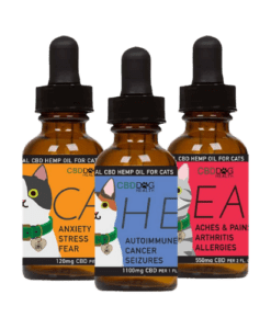 This CBD for cats is what we recommend for your kitty if you are looking to add the power of CBD into your kitty's life