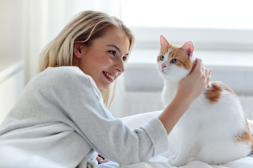 Do you consider yourself a Cat Owner Or A Cat Parent?