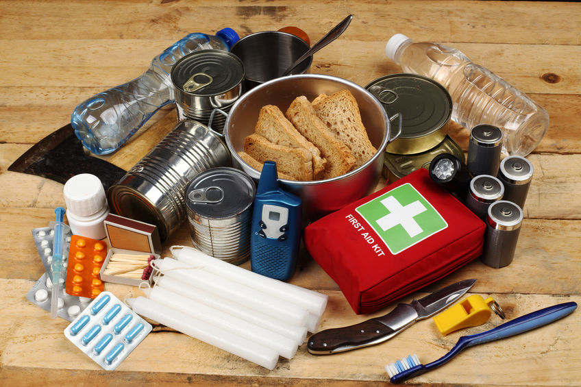 Do you have an Emergency Kit For Your Cats?