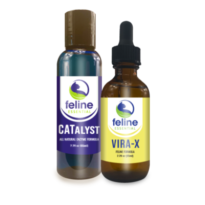 View of Feline Leukemia Virus – Cat Symptom - Two Crazy Cat Ladies