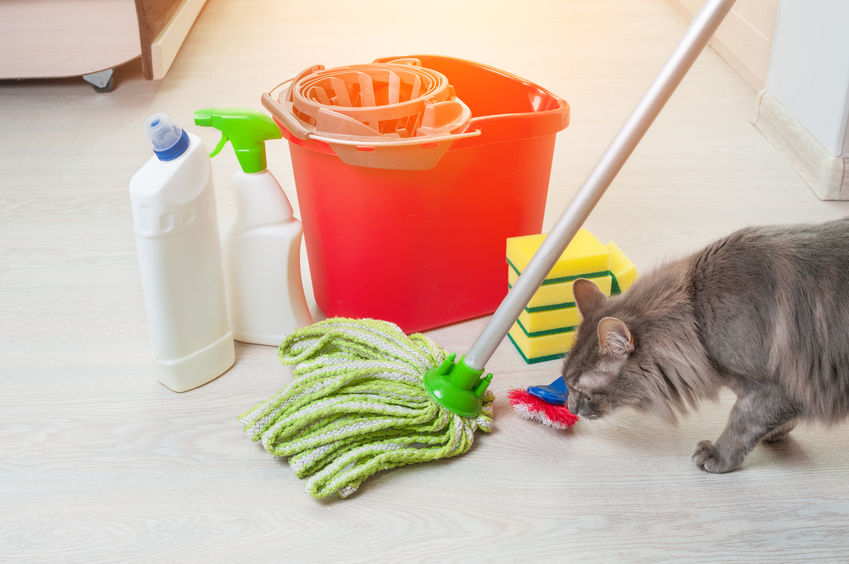 Most people don't know that the Chemical Cleaners they use in the house are being directly absorbed into their cat's blood stream. Studies show that cats and dogs have traces of at least 21 different household cleaners in their urine.