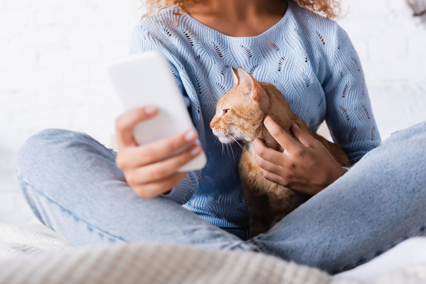 Do you know when it's time to Call A Veterinarian vs. look online for help with your kitty?