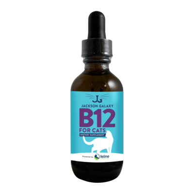 Liquid B12 for cats can help with many health issues kitties face