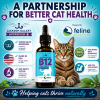 Jackson Galaxy approved methylcobalamin B12 supplement for cats with third-party testing, made in USA, and money-back guarantee.