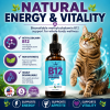 Methylcobalamin B12 supplement for cats supporting energy, appetite, vitality, nervous system health, and overall wellness.