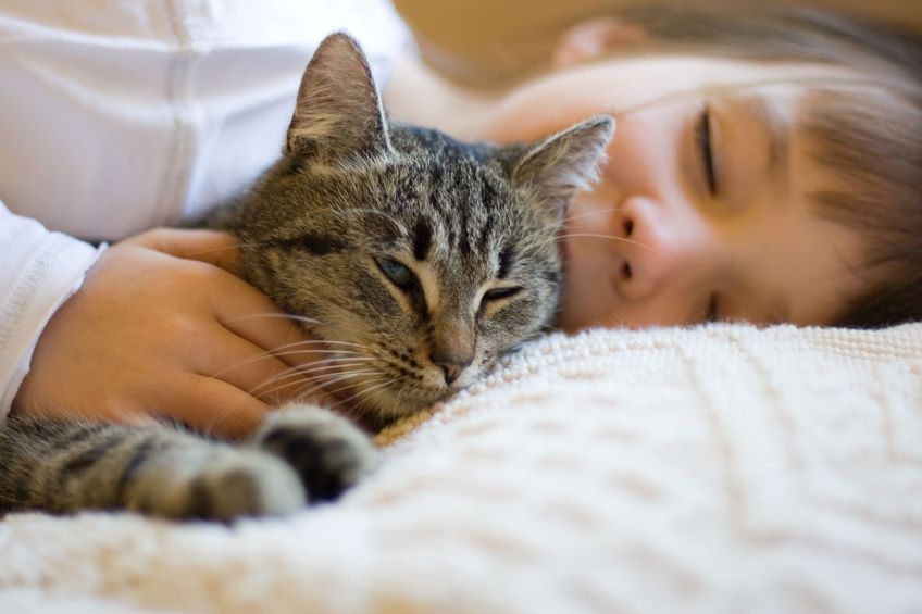 Feline Immunodeficiency Virus is not a death sentence. Cats with FIV need a healthy diet and supplementation and they'll live a long and healthy life just like any other kitty.