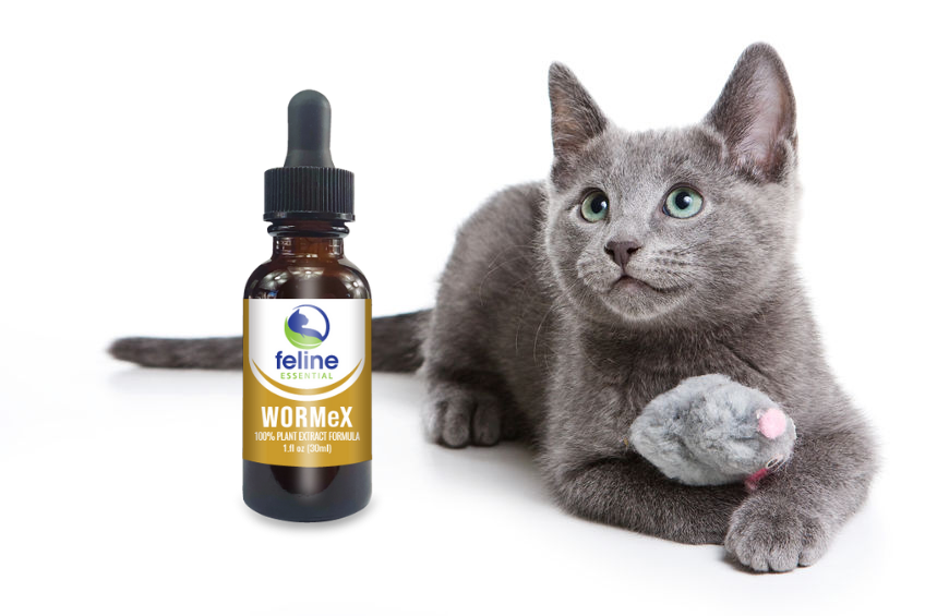 The safe, natural and easy way to eliminate worms in your cats and kittens naturally!