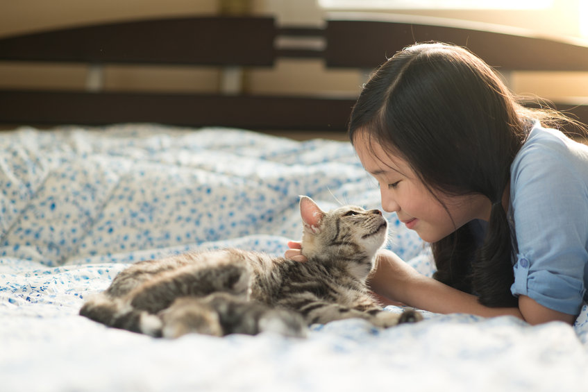 In this article we discuss Cat Care tips that you may not know about. There are many things we need to remember when it comes to caring for our cats that are sometimes easy to forget.