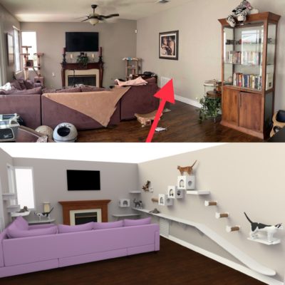 Here's an example of how you cat catify your home to make it look clean, while still providing enrichment for your kitties!