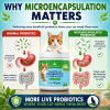 Microencapsulated probiotics for cats designed to survive stomach acid and deliver more live beneficial bacteria to the intestines.